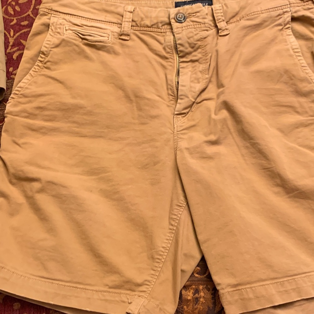 American Eagle By Payless Men's Brown Flat Front Shorts